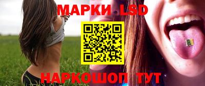 дмт Новозыбков