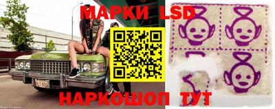 амф Новодвинск