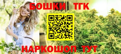амф Новодвинск