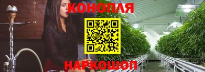 амф Новодвинск