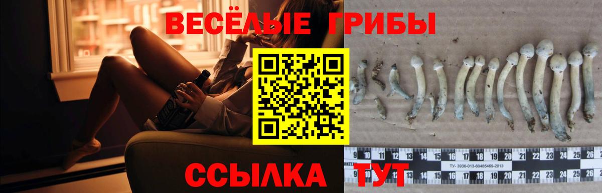 Старая Купавна  Галлюциногенные грибы Cubensis  хочу   Псилоцибиновые грибы MAGIC MUSHROOMS  Вход с VPN 